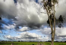 2021年巴甲赛程比分结果都有哪些亮点？